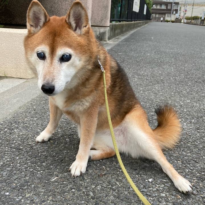 6a3abfda 34fe 4164 a525 f7498d9e3bc7 1697875954806