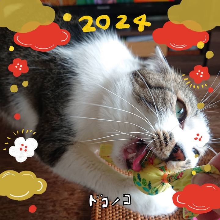 6a3ace3f 67da 4798 b1ff 2ce962b99aa6 1704152214848