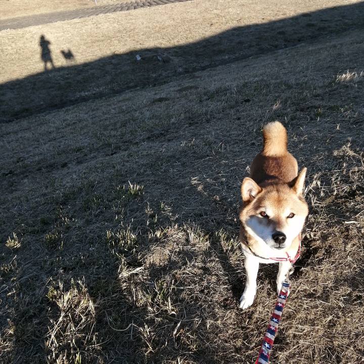 6a3acfc4 850f 40c9 80d3 02a7588d4609 1645145256269