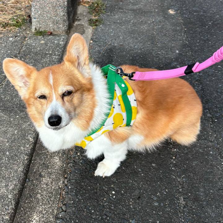 6a3b0219 8f67 4e1b 94ea f1c74a5aed42 1736656465483