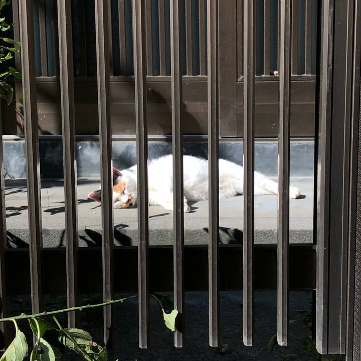 6a3b2b75 aef1 4d90 8d7d ce9a53e56de2 1604629840891