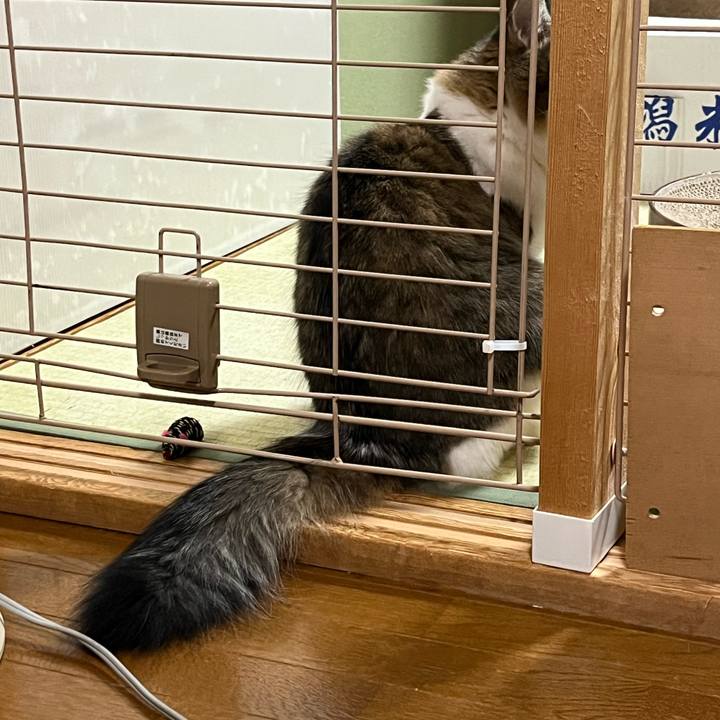 6a3b3208 07d8 4388 b620 15a2e1eca18b 1767828257811