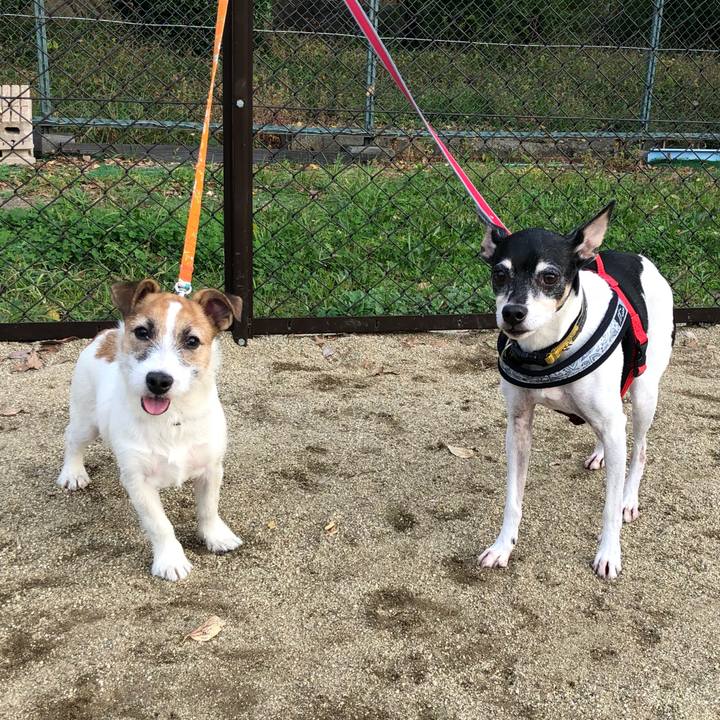 6a3b6a74 134e 42bb 972a 5316e0cdca0e 1542446871622