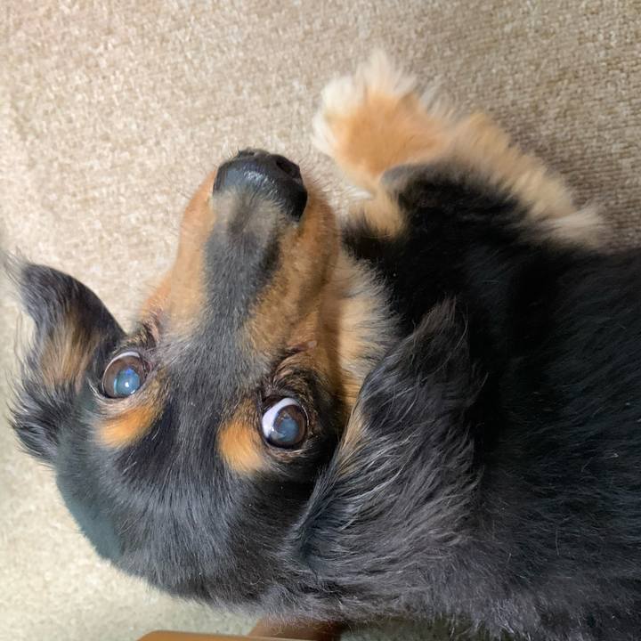 6a3b8ccd 2a29 409d 93fc 20bdf77b72c0 1591047952977