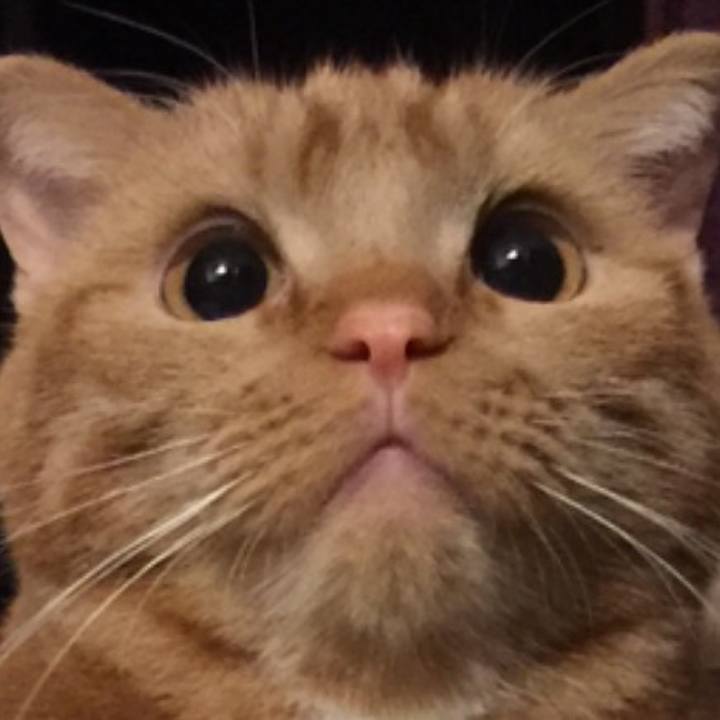 6a3b915c 2794 48d7 a4c5 29a2e3b73827 1520417818131