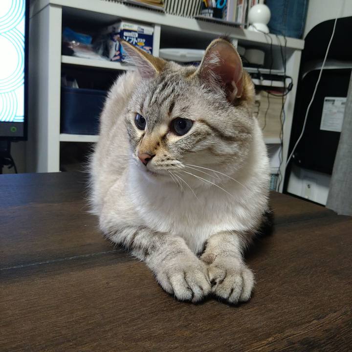 6a3bc3bf 37af 46e7 9f91 443f96d2013b 1719313331301