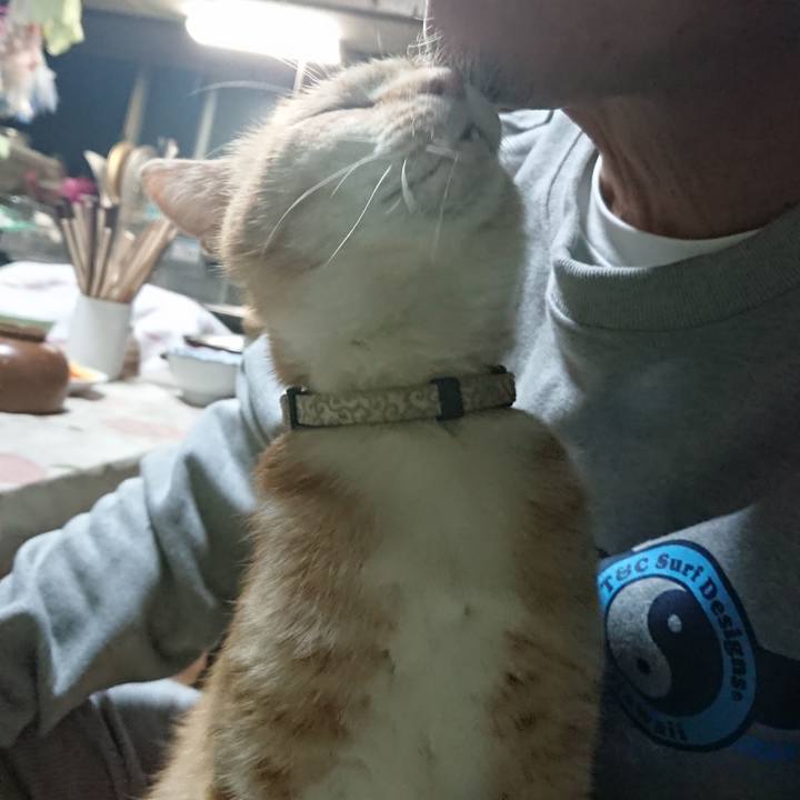 6a3c0406 58d2 4233 9a0c 4a198b93d010 1590749902748