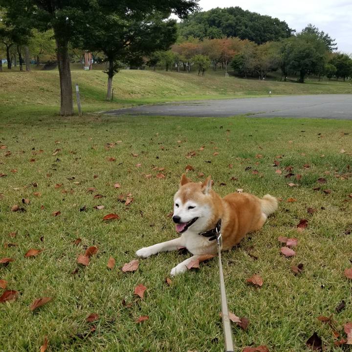 6a3c392d 5c7e 4c57 9805 f8c3c5de8448 1695707580205