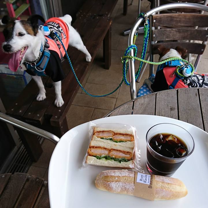 6a3c4272 f436 4239 8f0a 371d91fac738 1591585776226