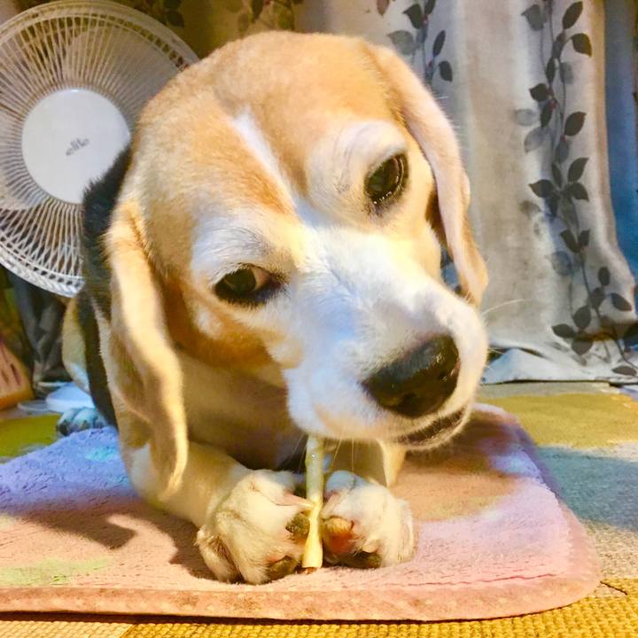 6a3c86d7 48fc 4bd2 8d3b 8060d89fd3e0 1758010723059