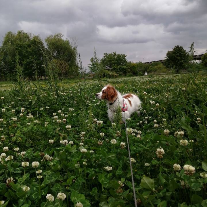 6a3c8b67 9290 4546 b338 c0be9c4cd33b 1619940180956