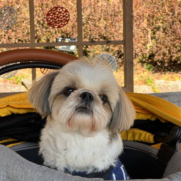 6a3cdacd f29b 4ef3 b204 e48e3d23ab45 1771157427000