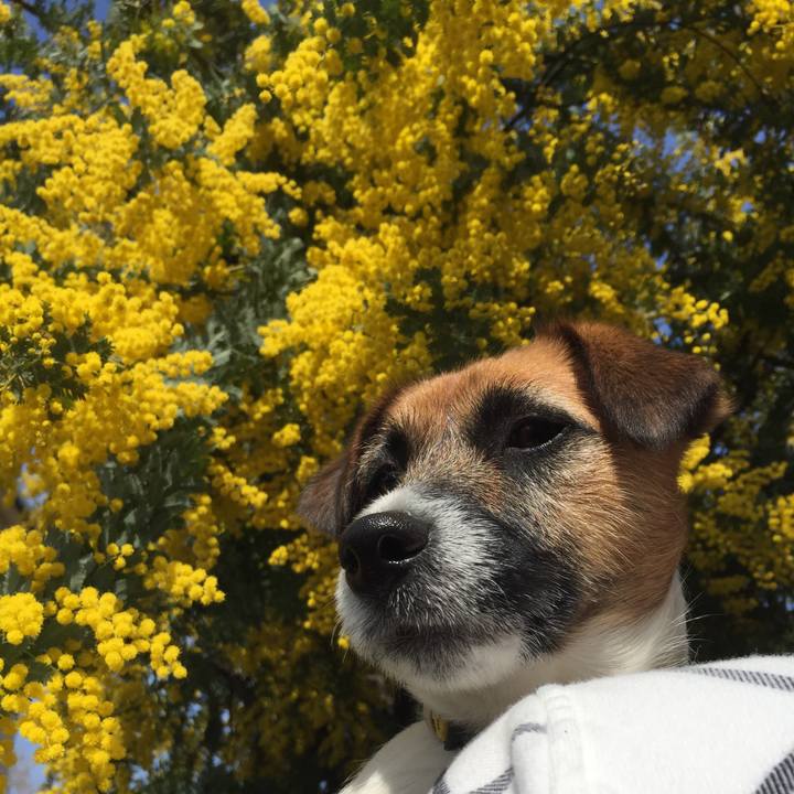 6a3ce112 8697 4897 b8bb aaa292b120a8 1521345337080