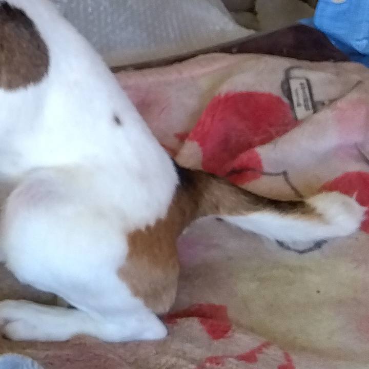 6a3ce12c 132f 4b50 8740 9dc55881785a 1685196220719