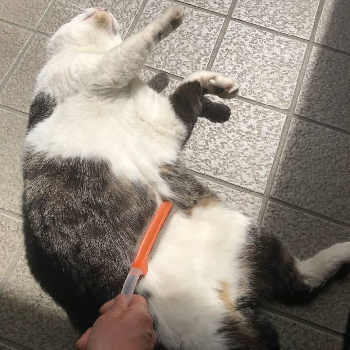 6a3cf002 d539 4c01 b644 2db6e3d77bd6 1527246290795