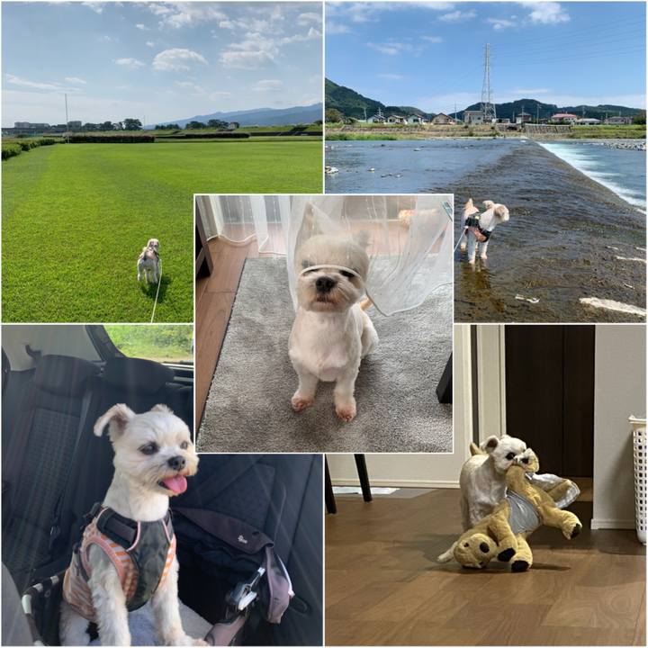 6a3d0208 f2ce 4e3b 9124 6b7e5883a8be 1601984357393