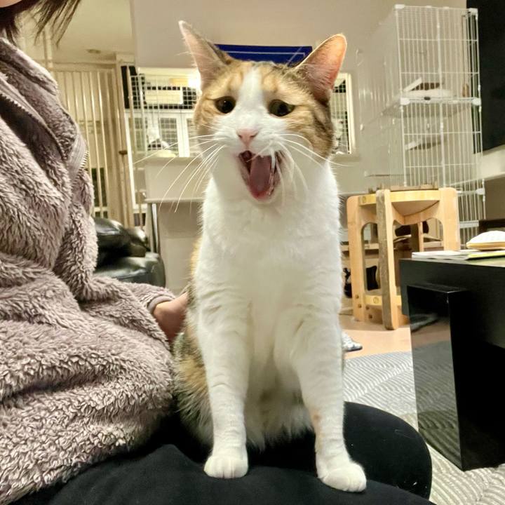 6a3d1824 5db1 47ef ba75 4d58c3962cb5 1768016619136