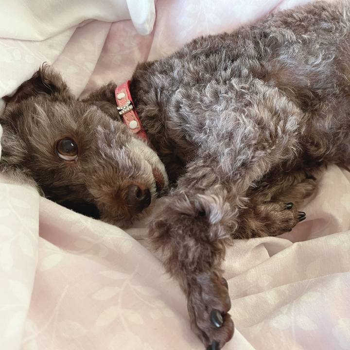 6a3d1f2d fd29 45ae 9d5d c4804b86c63b 1664661049222