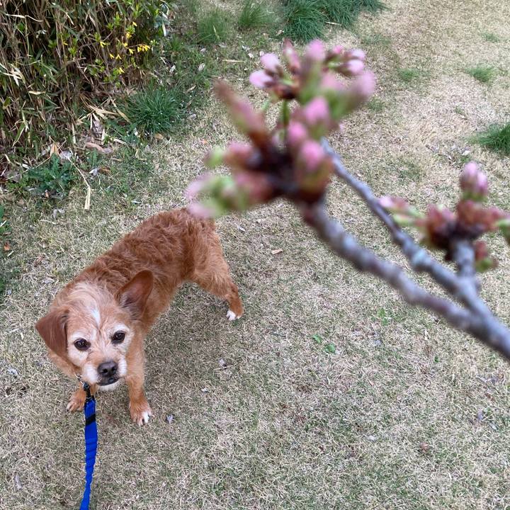 6a3d6101 d0c6 4d4b bfb4 873d4ed28f9b 1679228914999