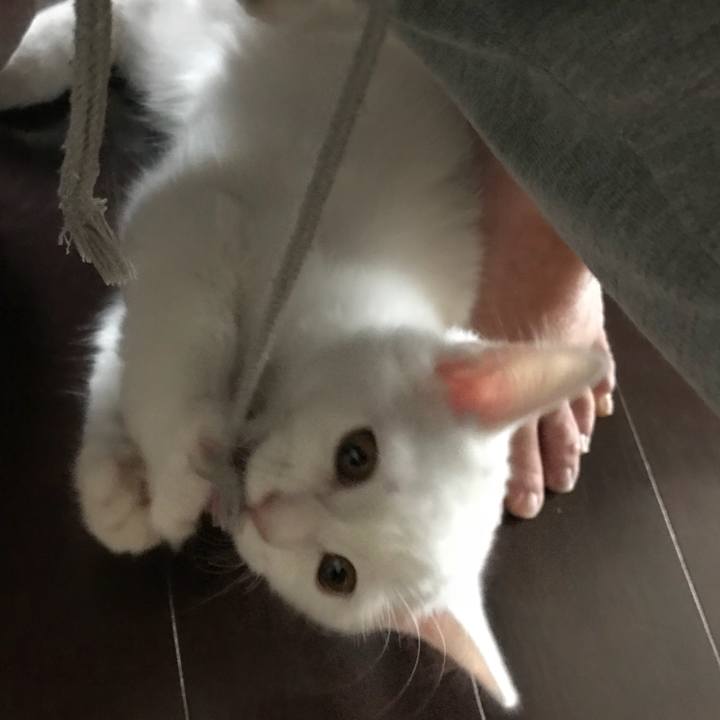 6a3d750c 03e7 44f8 9b20 e419d3b505de 1508487632230