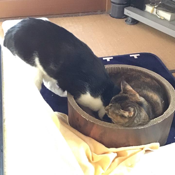 6a3d8b40 e62f 4c46 8355 c07692e241e7 1707626638485