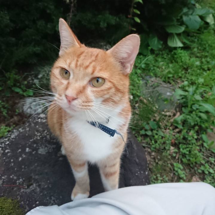 6a3dbff2 6a3a 460b b9b7 870896490a70 1600247428216