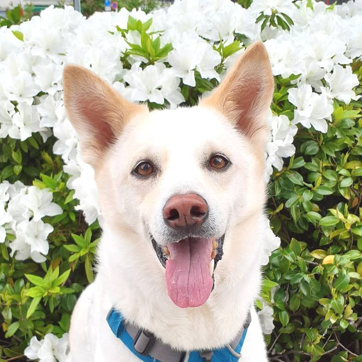 6a3ddcfc 99cf 4495 a17f 0aad3bff1254 1650761294006