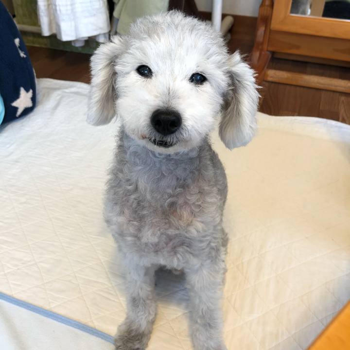 6a3e46f5 b904 4139 9348 ae8fe3f1916c 1600216004662