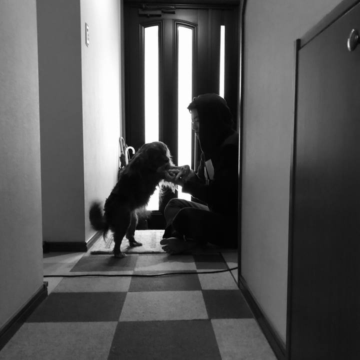 6a3e783b 33d6 4c73 be0c 078e254804b2 1619654693134