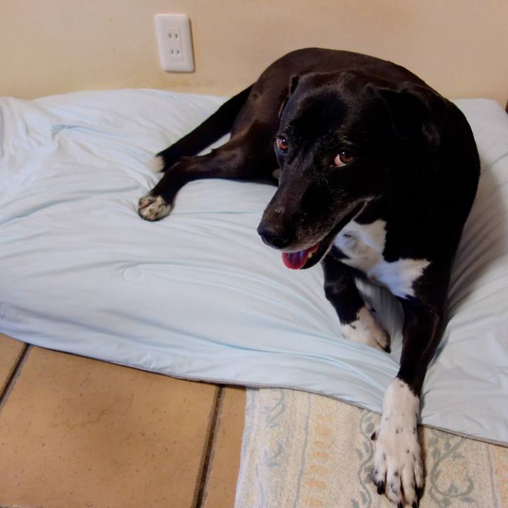 6a3e7ae4 3ba2 4f52 9aaa 1e608afca84c 1720222065179