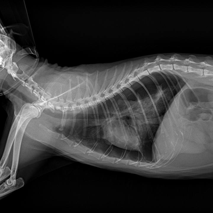 6a3e89e2 eb23 436e 98d3 dbf025fddc52 1775898922631