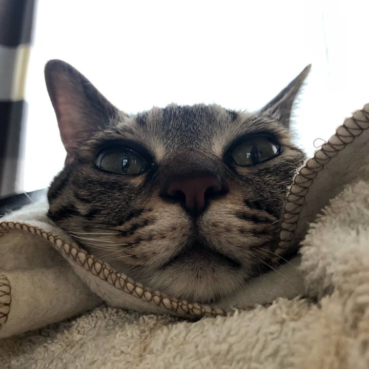 6a3e9b99 86b1 4424 a163 b4a55cc93b56 1560544558004