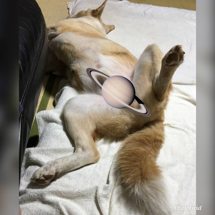 6a3eb5c7 be12 4c43 a4a4 f62484d316c4 1529508952981