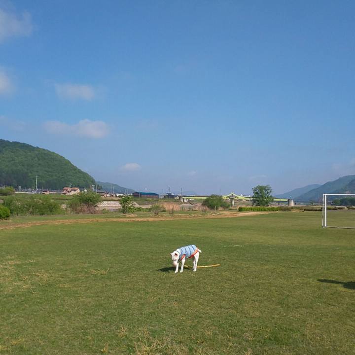 6a3ecddc e91d 479a 9168 b4dc277b9743 1556954959401