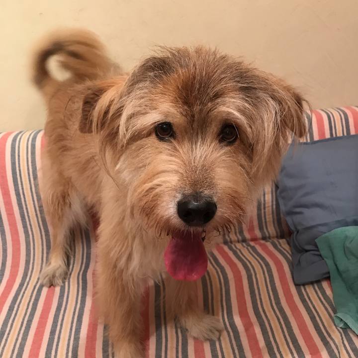 6a3f0dd8 17dd 48a3 a700 d33ca7279fdf 1569683346366