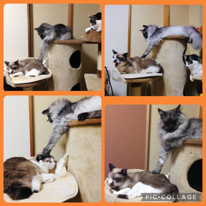 6a3f1ab6 86f0 4804 8577 bc484262cbed 1756806886733