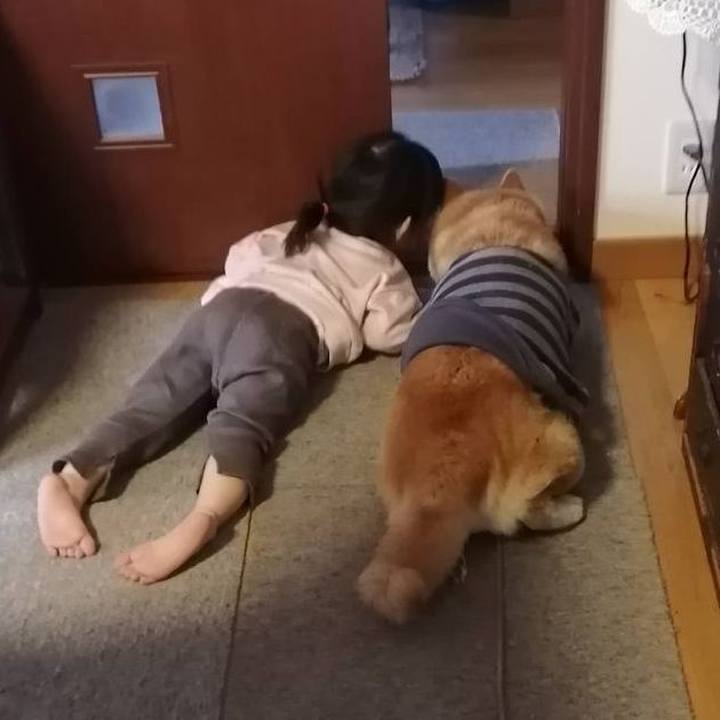 6a3f2049 d6a3 4802 8acd 903b05c467fc 1672363962204