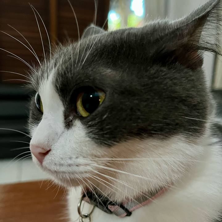 6a3f2938 f6a4 4bbb 8ed2 35804e67f1a3 1764989744206