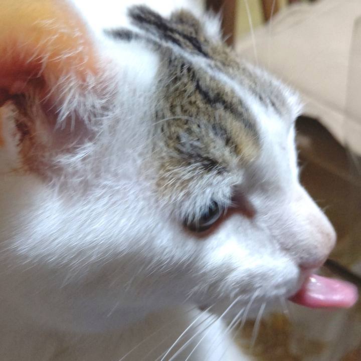 6a3f790f db2a 488e 9dcf 3e472aa47f89 1651985684863