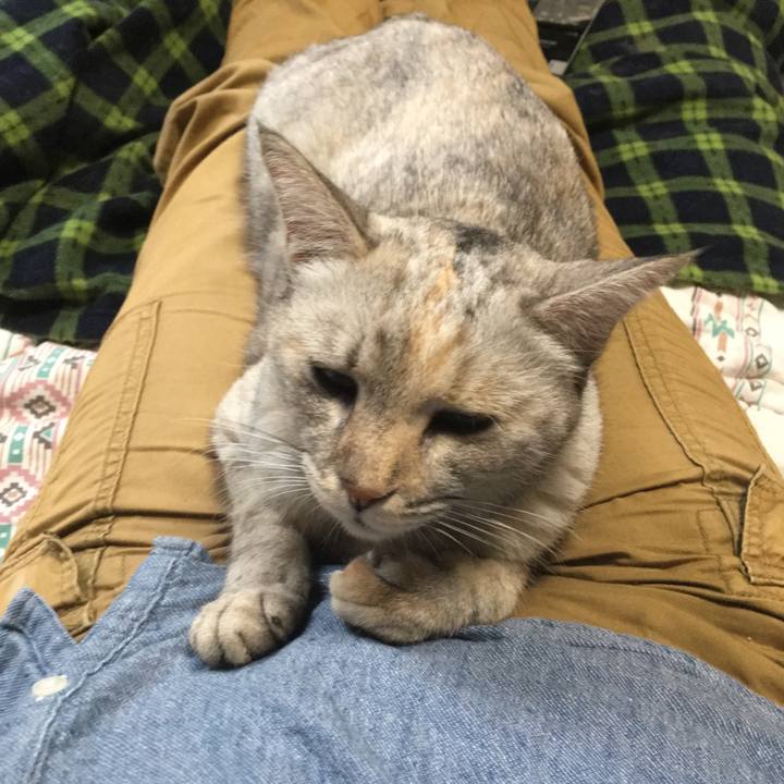 6a3f9b1d 0155 4d90 a107 74285732c97c 1537773163631