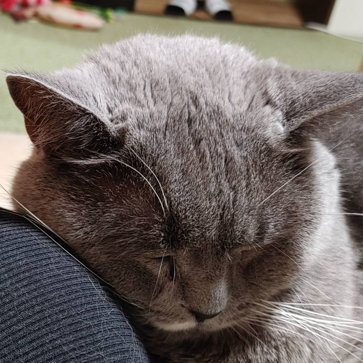 6a3fa9bb a74d 4efd a9d9 b7ebd459ecad 1721988891144