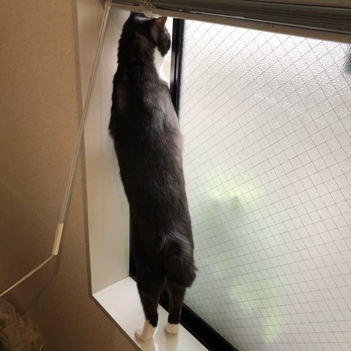 6a3fc8df 707c 489d 8db2 bb48d29cf6e8 1550812474549