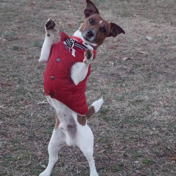 6a401320 b631 4600 aab3 64cfdcfb0030 1546814062914