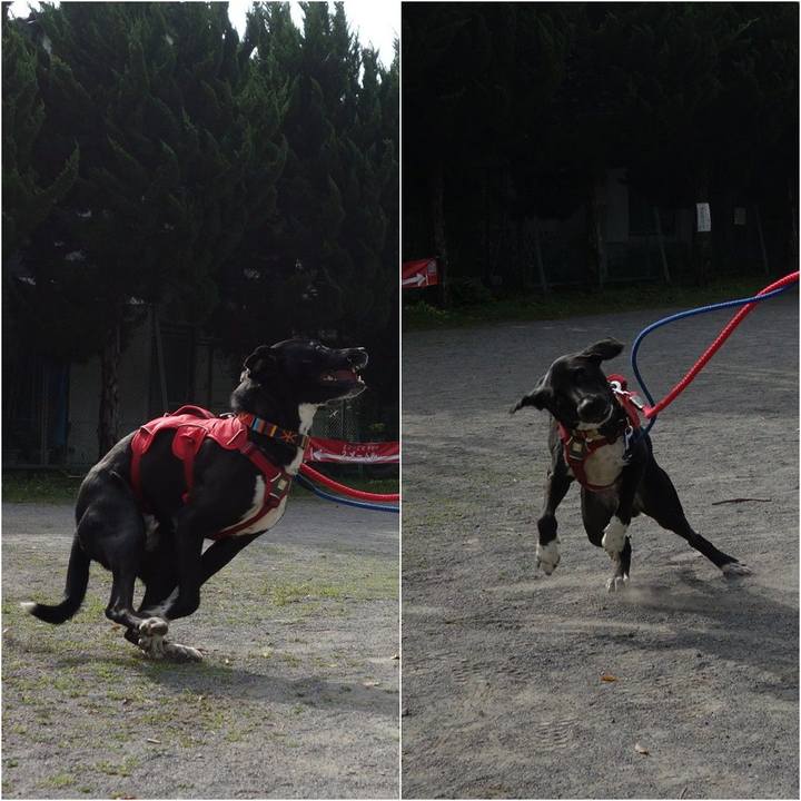 6a40a261 cfc8 4f64 8762 e30af612da36 1589329452254