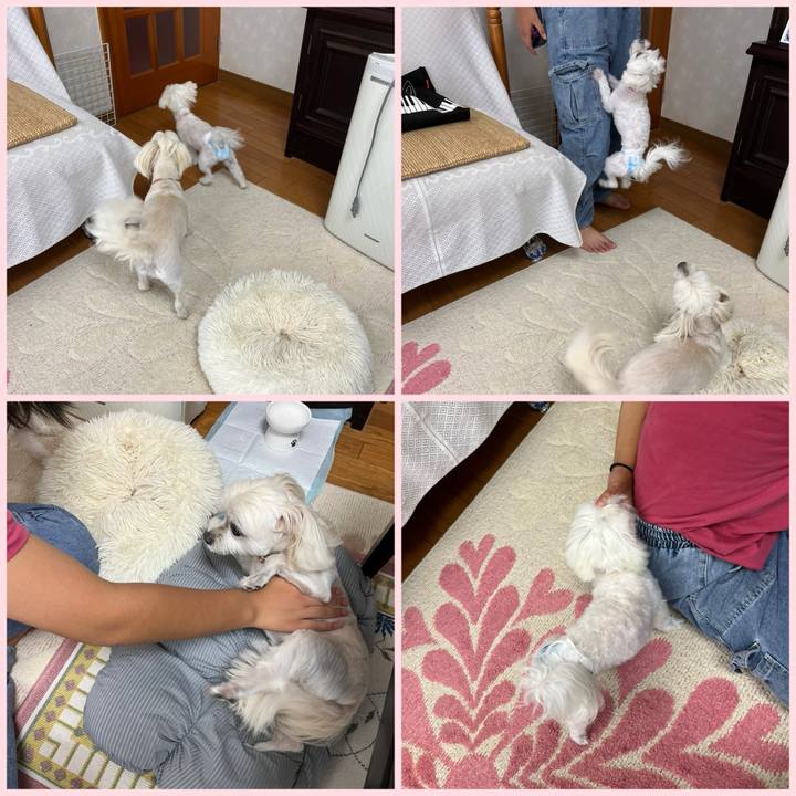 6a40aa8e bdce 4840 98ab 1ea7379f69d6 1723450773258