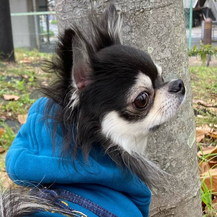 6a40d6b7 59c2 4f9f a103 f45307505833 1669474951569