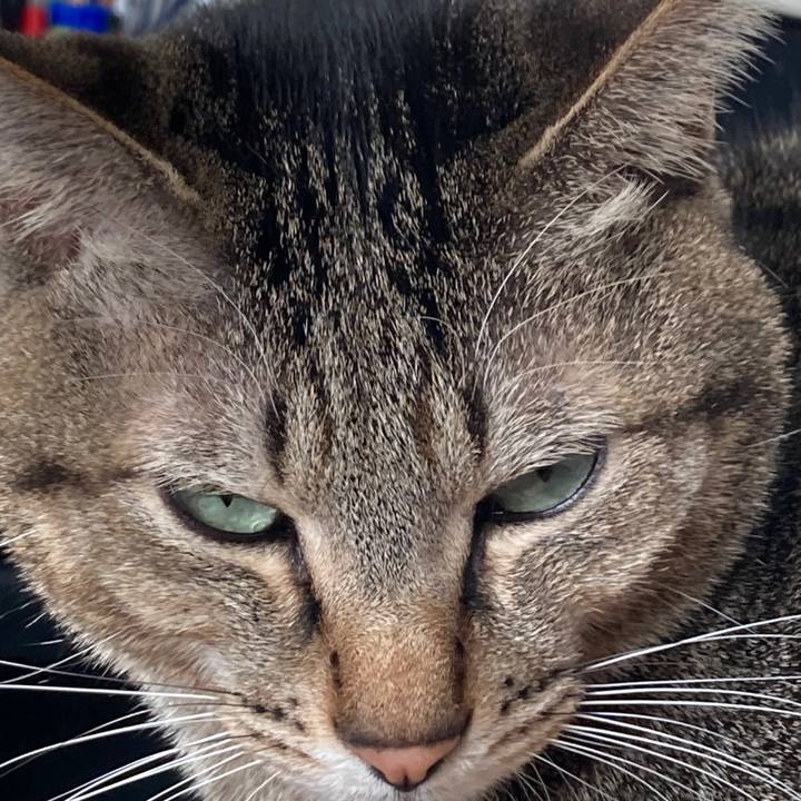 6a40fbbd a418 49e0 b348 954cb4aaa4cd 1769211293022