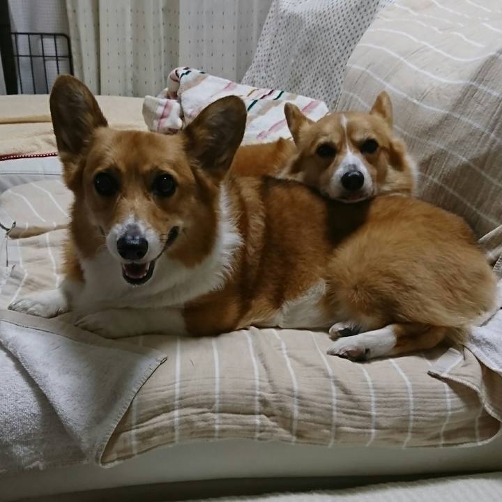 6a41050d 0e87 493c bbeb 63a6c27605c1 1530622009129