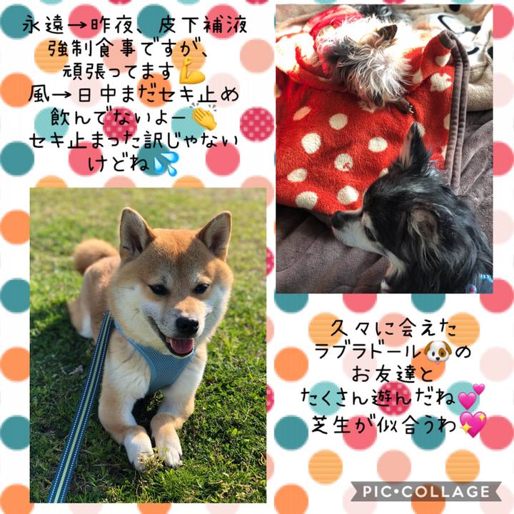 6a4110a8 978e 4311 a5db 36c1ce3e39ad 1552720598774