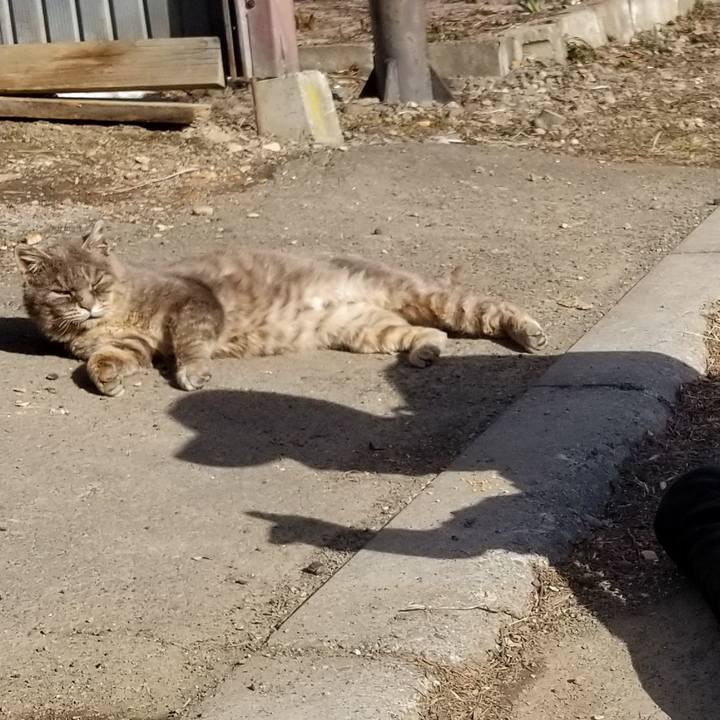 6a413108 6d25 4ce6 a815 e615c5644baf 1524059179437